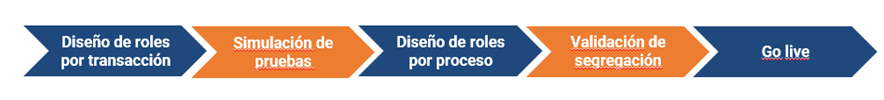 Proceso SFS desde el diseño de roles por transacción hasta Go Live